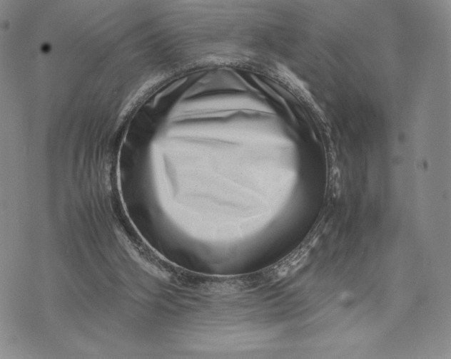 X0000075360106200609251112