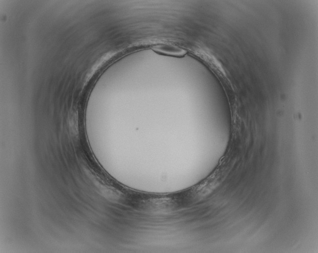 X0000075360108200609251112