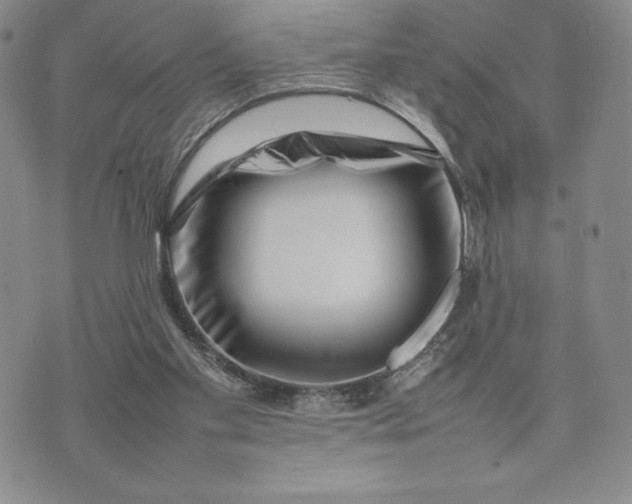 X0000075360109200609251112