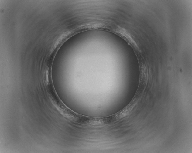 X0000075360110200609251112