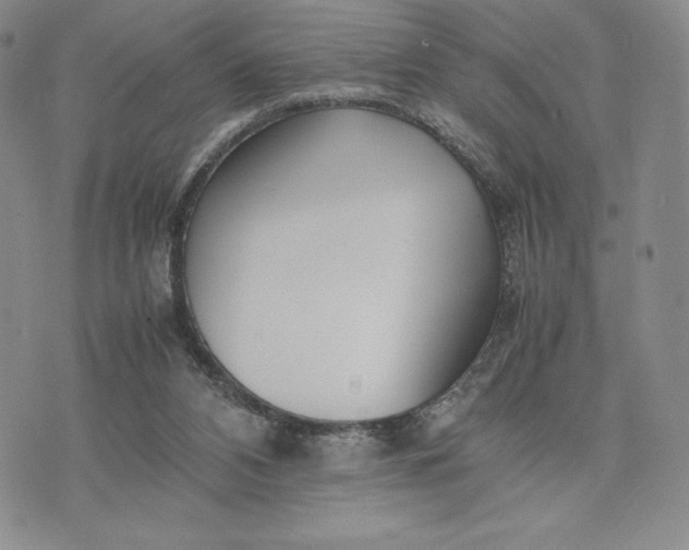 X0000075360112200609251112