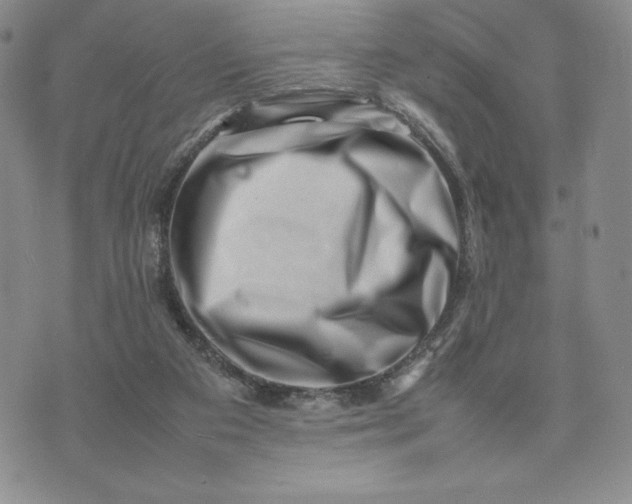 X0000075360113200609251112