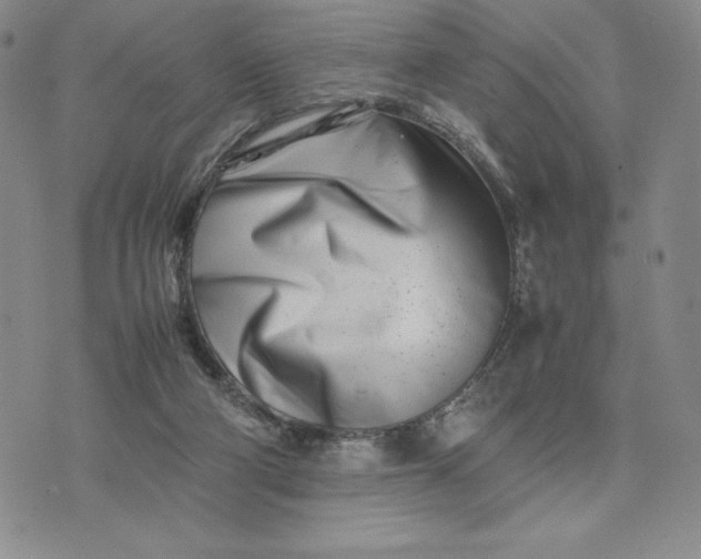 X0000075360114200609251112