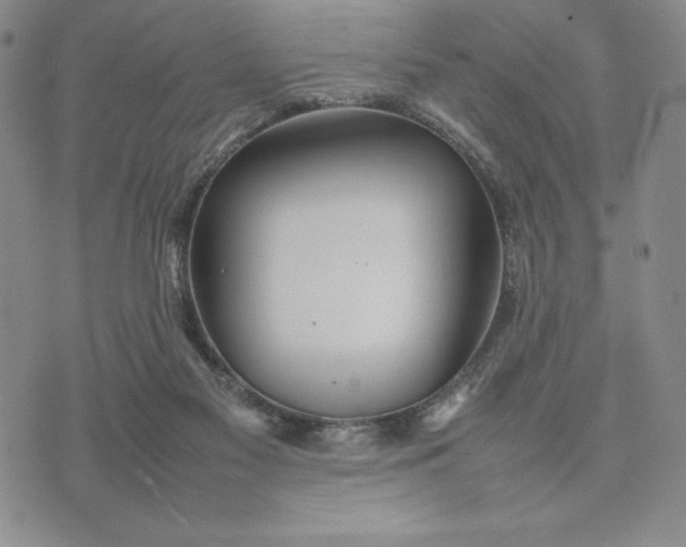 X0000075360117200609251112