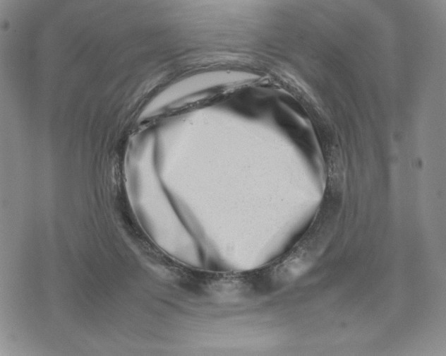 X0000075360119200609251112