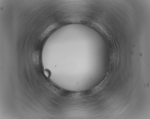 X0000075360120200609251111