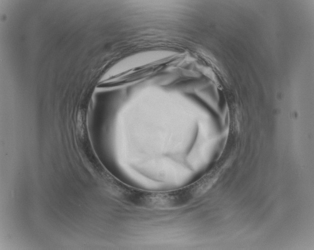 X0000075360121200609251111