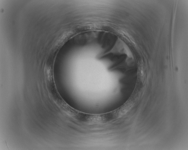 X0000075360123200609251111