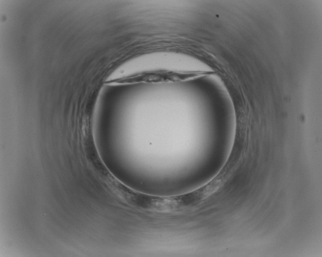 X0000075360125200609251111