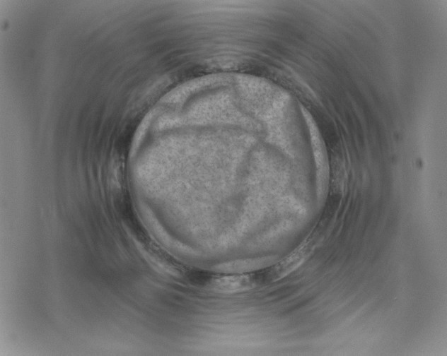 X0000075360126200609251111