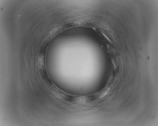 X0000075360127200609251111