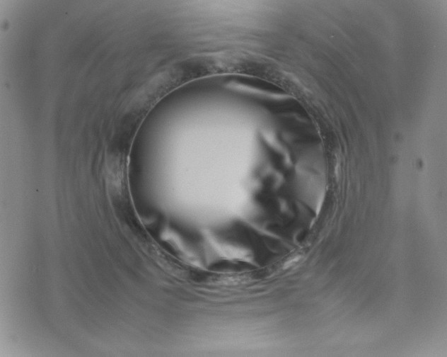 X0000075360129200609251111