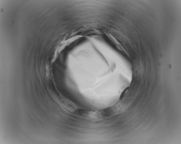 X0000075360130200609251111