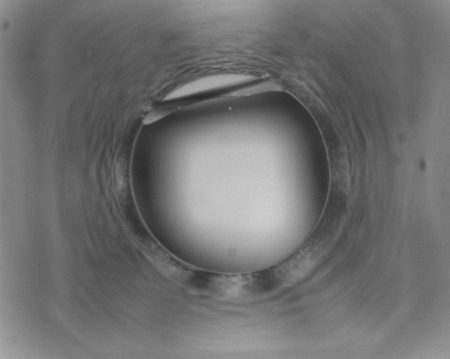 X0000075360131200609251111