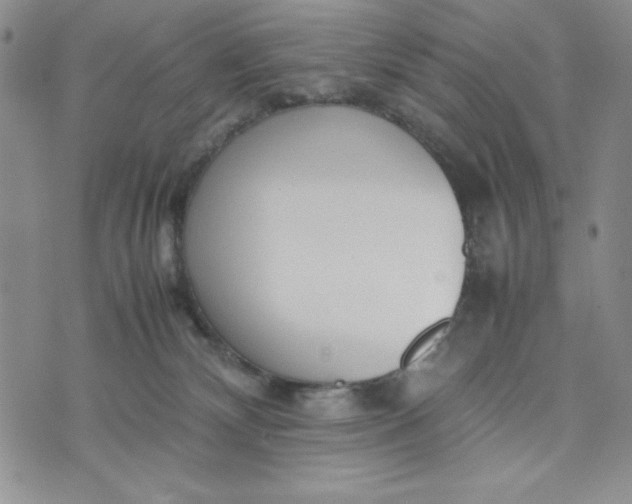 X0000075360132200609251111