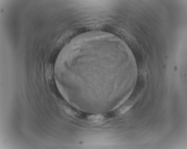 X0000075360133200609251111