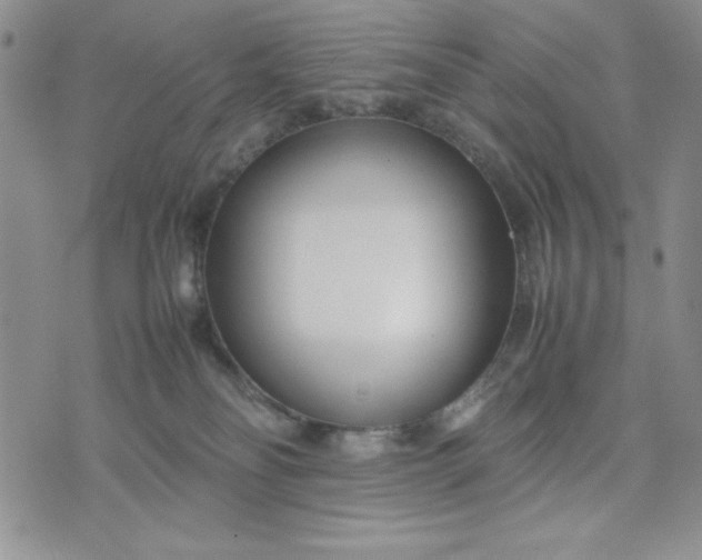 X0000075360134200609251111