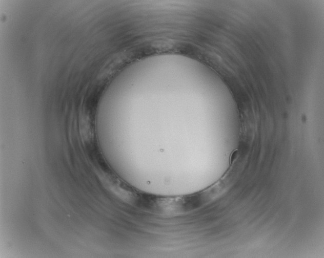 X0000075360136200609251111