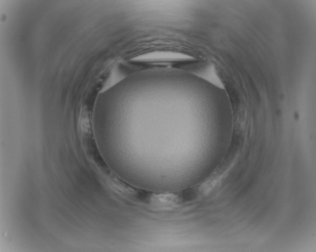 X0000075360137200609251111