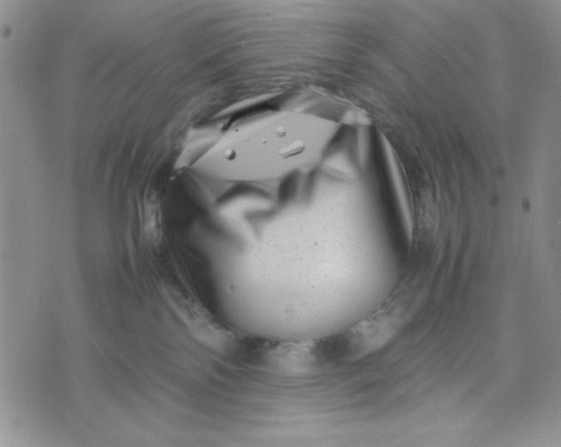 X0000075360138200609251111