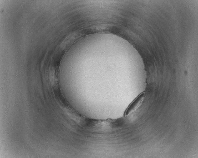 X0000075360140200609251111