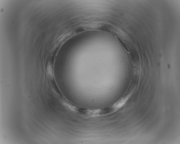 X0000075360143200609251111