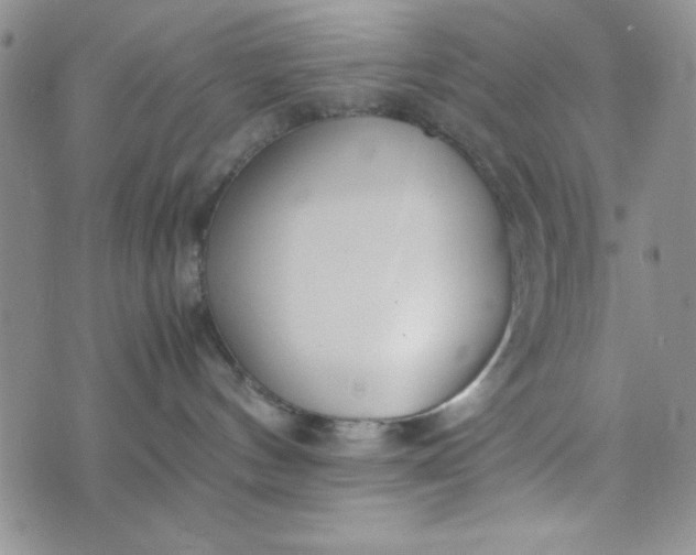 X0000075360144200609251111