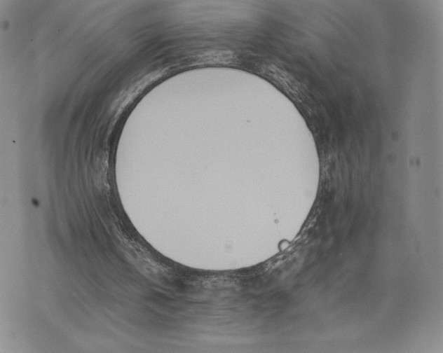 X0000075360146200609251110