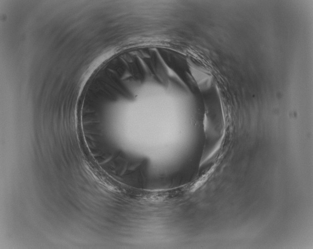 X0000075360148200609251110