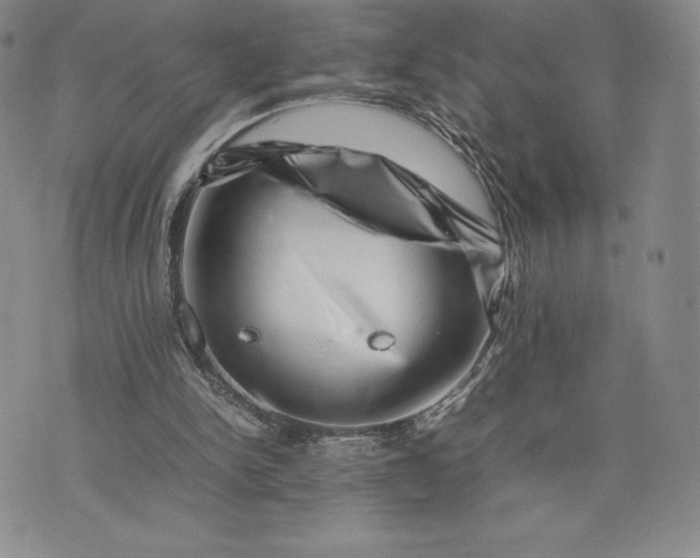 X0000075360150200609251110