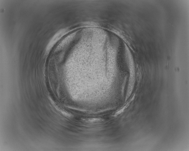 X0000075360151200609251110