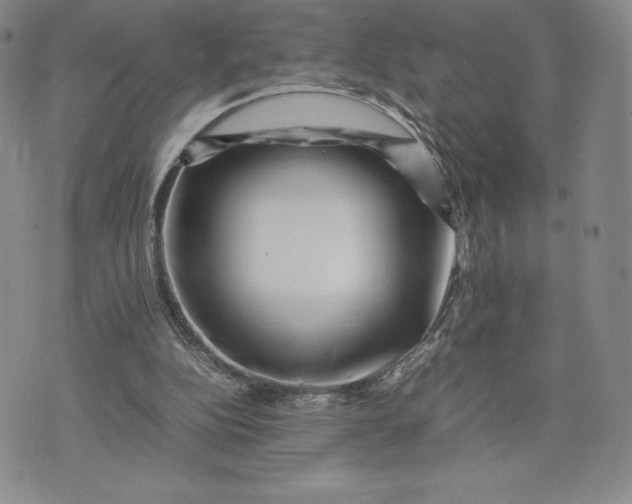 X0000075360152200609251110