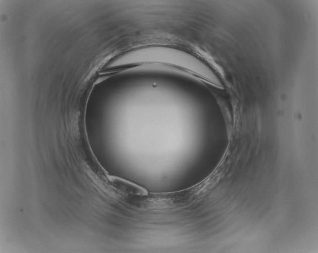 X0000075360154200609251110