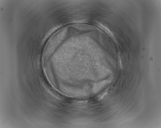 X0000075360155200609251110