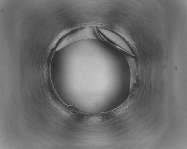 X0000075360156200609251111