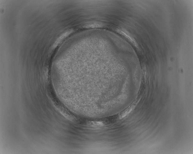 X0000075360159200609251111