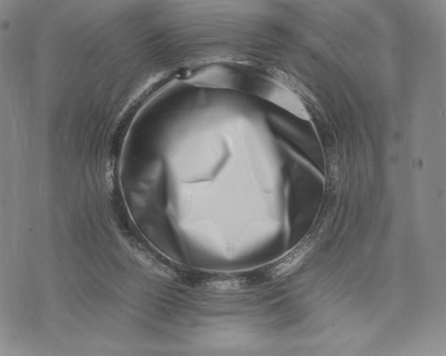 X0000075360160200609251111