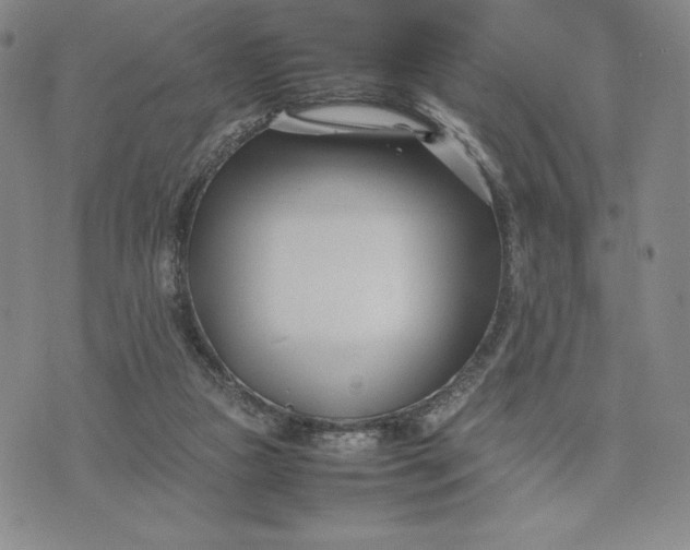 X0000075360161200609251111