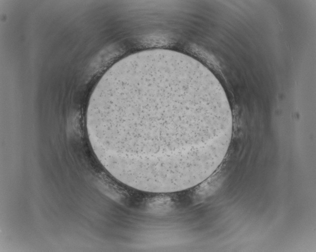 X0000075360162200609251111