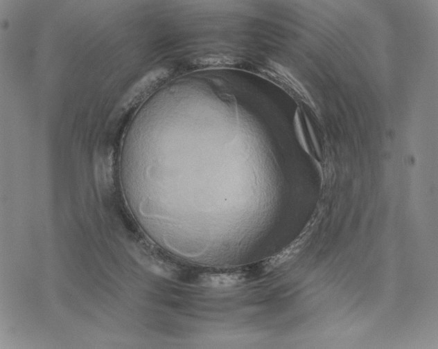 X0000075360163200609251111