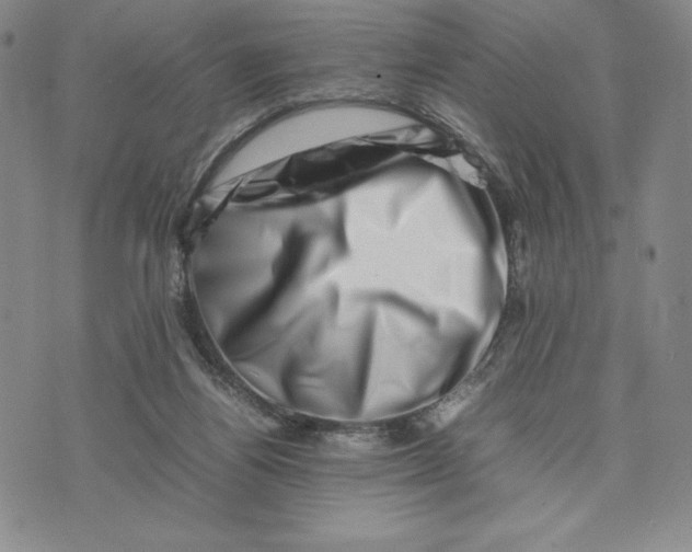 X0000075360164200609251111