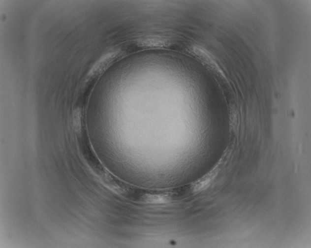 X0000075360167200609251111