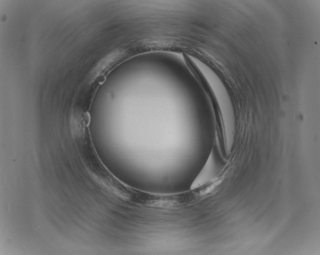 X0000075360168200609251111