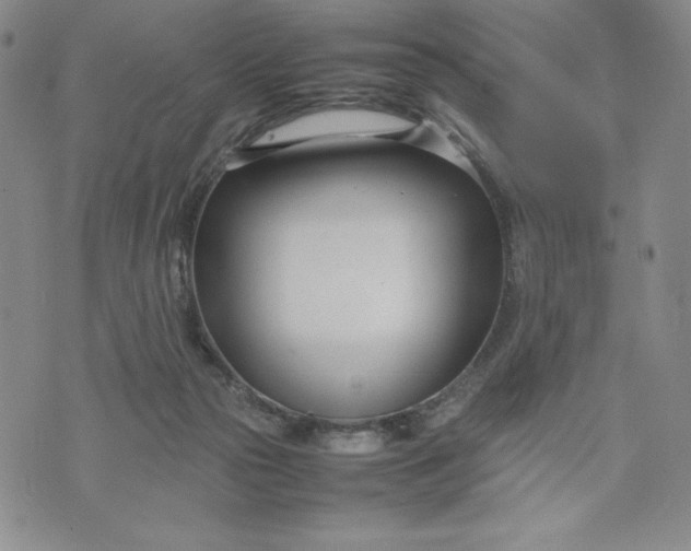 X0000075360169200609251111