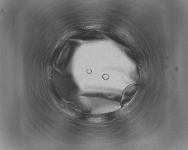 X0000075360171200609251111