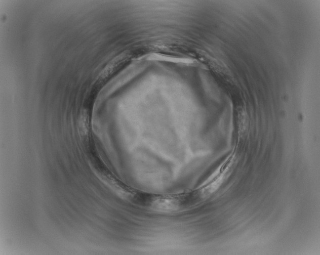 X0000075360174200609251111