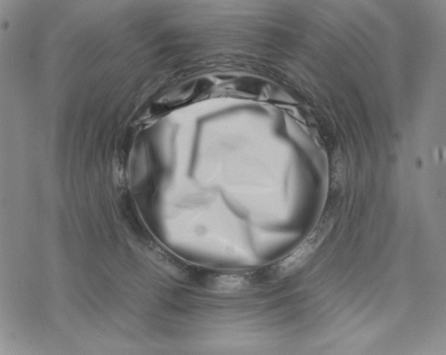 X0000075360176200609251111