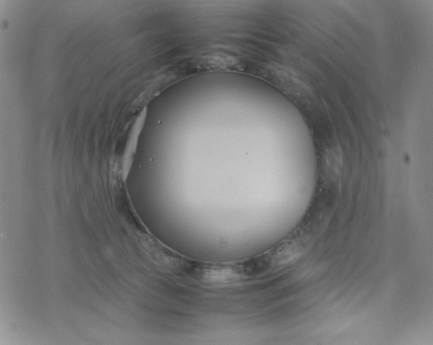 X0000075360177200609251111