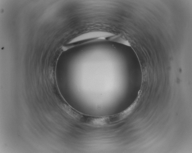 X0000075360178200609251111