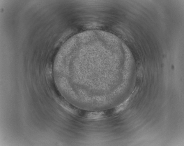 X0000075360179200609251111